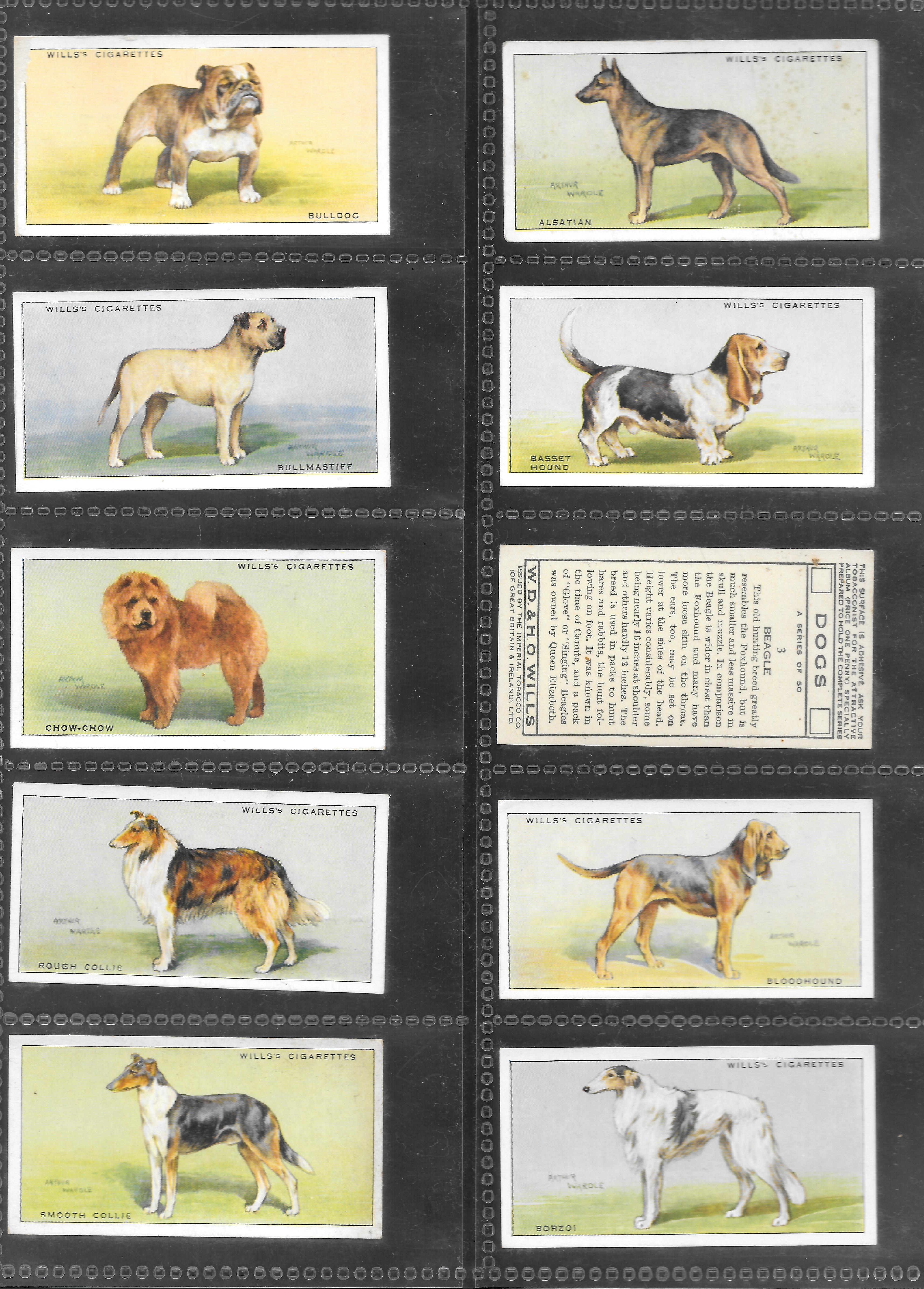 DOGS CIGARETTE CARDS SET OF 50 1937 W D & H O WILLS - Vintage Magazines